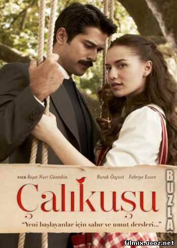 Королек - птичка певчая / Çalıkuşu (2013) Все серии